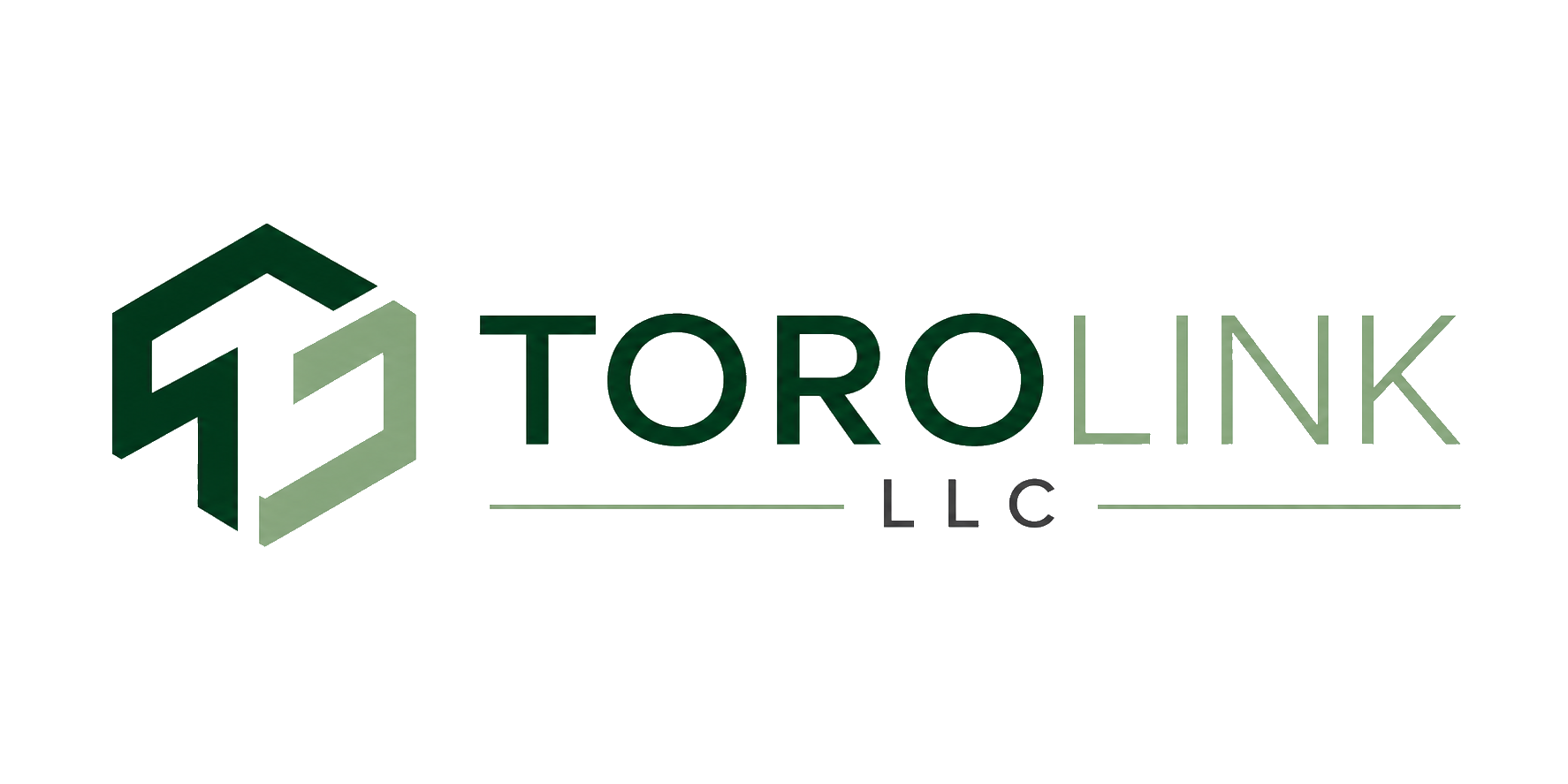 Torolink LLC